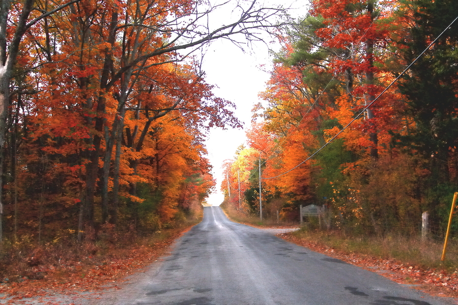 Fall image with Road
