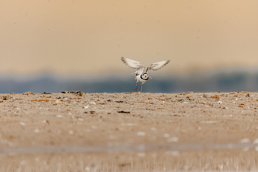Takeoff